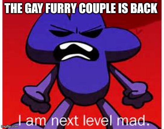 C.ai should ban furries | THE GAY FURRY COUPLE IS BACK | image tagged in next level mad | made w/ Imgflip meme maker