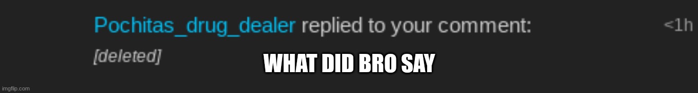 ANSWER | WHAT DID BRO SAY | image tagged in answer | made w/ Imgflip meme maker