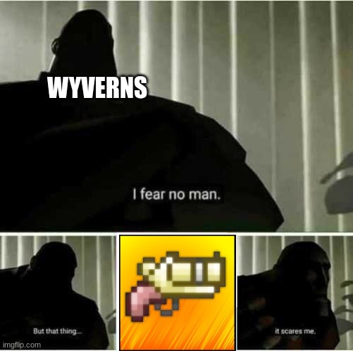 Terraria meme, but without the context. | WYVERNS | image tagged in i fear no man,terraria,memes,funny,video games | made w/ Imgflip meme maker