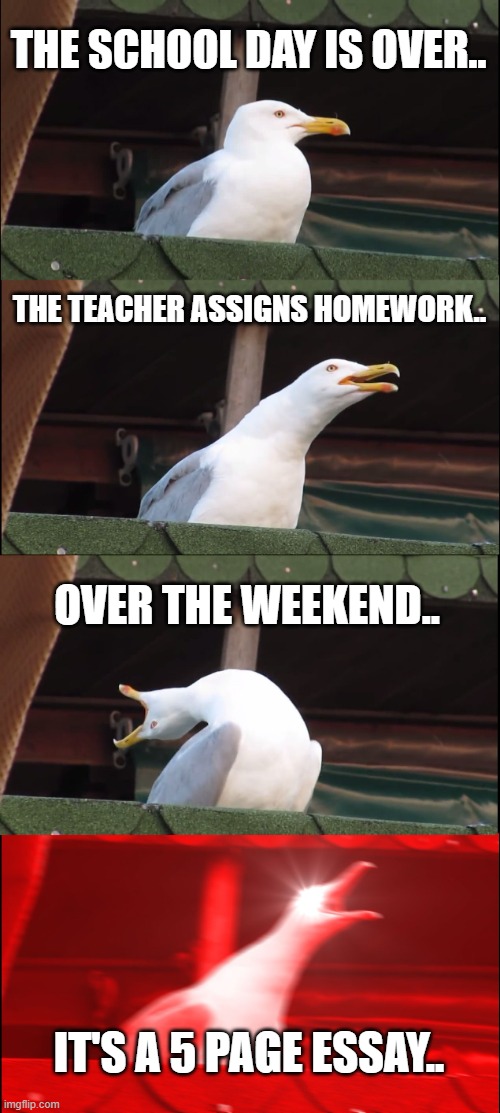Inhaling Seagull Meme | THE SCHOOL DAY IS OVER.. THE TEACHER ASSIGNS HOMEWORK.. OVER THE WEEKEND.. IT'S A 5 PAGE ESSAY.. | image tagged in memes,inhaling seagull | made w/ Imgflip meme maker