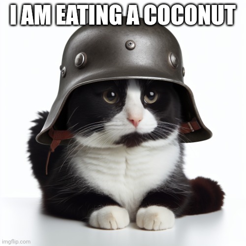 Kaiser_Floppa_the_1st silly post | I AM EATING A COCONUT | image tagged in kaiser_floppa_the_1st silly post | made w/ Imgflip meme maker