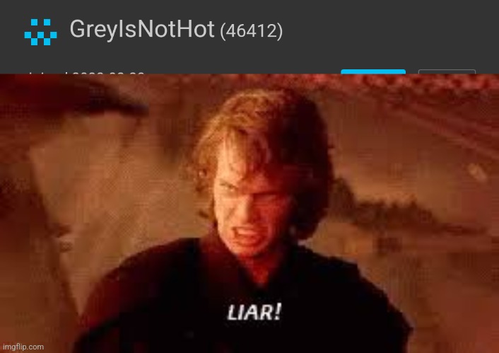 Liar! | image tagged in anakin liar | made w/ Imgflip meme maker