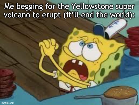 Please | Me begging for the Yellowstone super volcano to erupt (it’ll end the world): | image tagged in begging bob fix euw | made w/ Imgflip meme maker