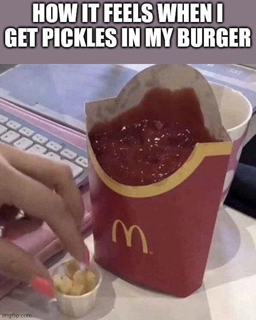 Ketchup with a side of fries | HOW IT FEELS WHEN I GET PICKLES IN MY BURGER | image tagged in ketchup with a side of fries | made w/ Imgflip meme maker