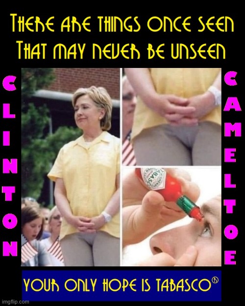 Sorry to ruin your day! | image tagged in vince vance,cameltoe,hillary clinton,hrc,unsee juice,memes | made w/ Imgflip meme maker
