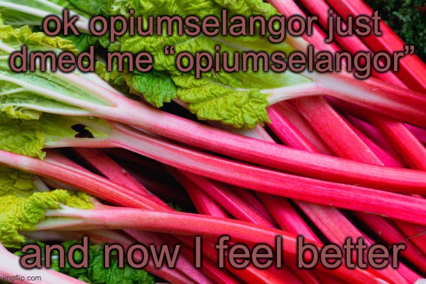 :) | ok opiumselangor just dmed me “opiumselangor”; and now I feel better | image tagged in rhubarb | made w/ Imgflip meme maker