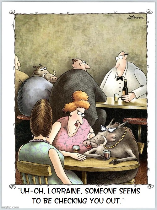 Warthogs on the make! | image tagged in vince vance,farside,comics,cartoons,warthogs,dating | made w/ Imgflip meme maker