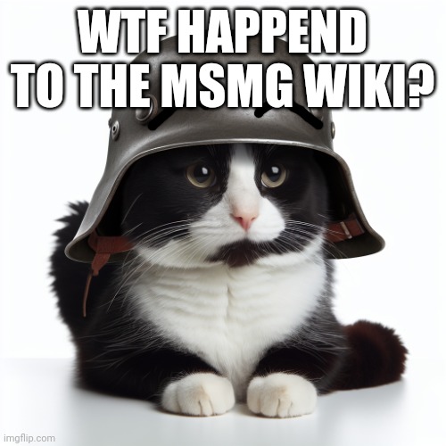 Kaiser_Floppa_the_1st silly post | WTF HAPPEND TO THE MSMG WIKI? | image tagged in kaiser_floppa_the_1st silly post | made w/ Imgflip meme maker