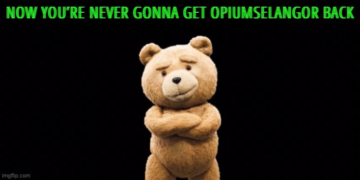 also when did he get banned | NOW YOU’RE NEVER GONNA GET OPIUMSELANGOR BACK | image tagged in ted 2 updated | made w/ Imgflip meme maker