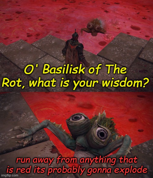 helldivers 2 in a nutshell | O' Basilisk of The Rot, what is your wisdom? run away from anything that is red its probably gonna explode | image tagged in o' basilisk of the rot what is your wisdom | made w/ Imgflip meme maker