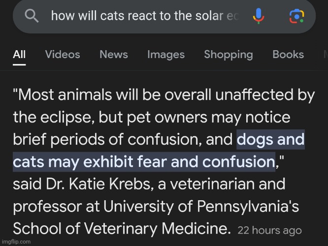 I just thought of how cats would react to the solar eclipse, and this is the result | made w/ Imgflip meme maker