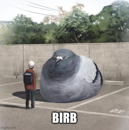 Beeg Birb | BIRB | image tagged in beeg birb | made w/ Imgflip meme maker