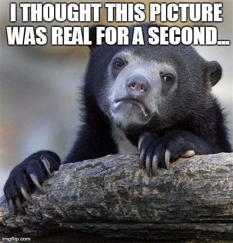 Confession Bear Meme | I THOUGHT THIS PICTURE WAS REAL FOR A SECOND... | image tagged in memes,confession bear | made w/ Imgflip meme maker