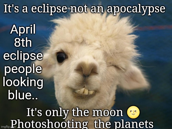 alpaca | It's a eclipse not an apocalypse; April 8th eclipse people looking blue.. It's only the moon 🌝 Photoshooting  the planets | image tagged in alpaca | made w/ Imgflip meme maker