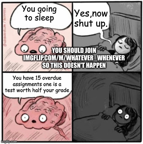 Cant sleep? | Yes,now shut up. You going to sleep; YOU SHOULD JOIN IMGFLIP.COM/M/WHATEVER_WHENEVER SO THIS DOESN'T HAPPEN; You have 15 overdue assignments one is a test worth half your grade | image tagged in brain before sleep | made w/ Imgflip meme maker