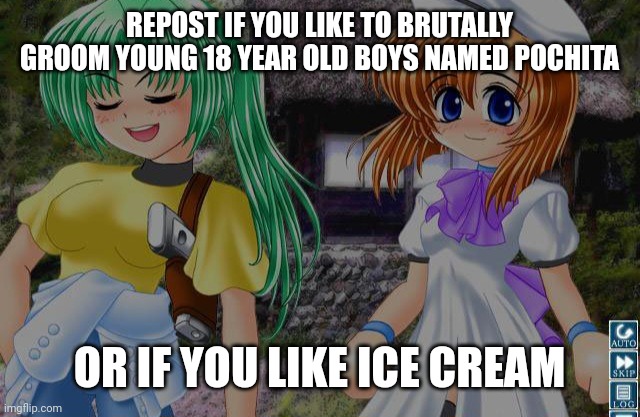 REPOST IF YOU LIKE TO BRUTALLY GROOM YOUNG 18 YEAR OLD BOYS NAMED POCHITA; OR IF YOU LIKE ICE CREAM | made w/ Imgflip meme maker