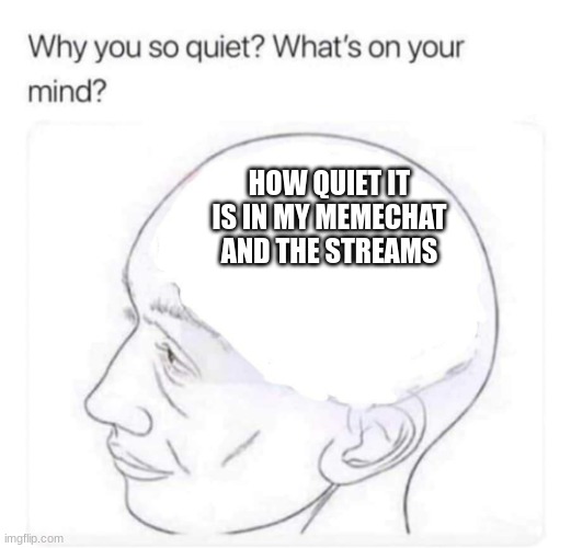 AHHHHHHH | HOW QUIET IT IS IN MY MEMECHAT AND THE STREAMS | image tagged in what's on your mind | made w/ Imgflip meme maker