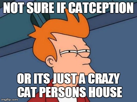 Futurama Fry Meme | NOT SURE IF CATCEPTION OR ITS JUST A CRAZY CAT PERSONS HOUSE | image tagged in memes,futurama fry | made w/ Imgflip meme maker