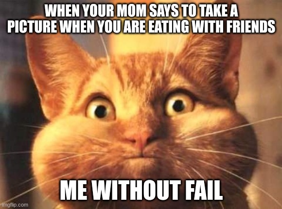 Having food in your mouth every time taking a picture | WHEN YOUR MOM SAYS TO TAKE A PICTURE WHEN YOU ARE EATING WITH FRIENDS; ME WITHOUT FAIL | image tagged in full mouth cat,funny memes | made w/ Imgflip meme maker