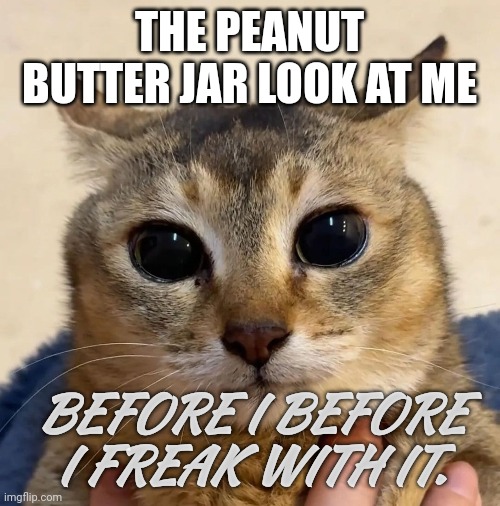 THE PEANUT BUTTER JAR LOOK AT ME; BEFORE I BEFORE I FREAK WITH IT. | made w/ Imgflip meme maker