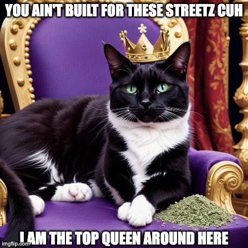 YOU AIN'T BUILT FOR THESE STREETZ CUH; I AM THE TOP QUEEN AROUND HERE | image tagged in meow,mittens,weed,kitty,cat,queen | made w/ Imgflip meme maker