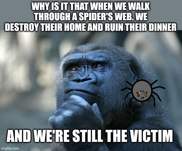 Deep Thoughts | WHY IS IT THAT WHEN WE WALK THROUGH A SPIDER'S WEB. WE DESTROY THEIR HOME AND RUIN THEIR DINNER; AND WE'RE STILL THE VICTIM | image tagged in deep thoughts | made w/ Imgflip meme maker
