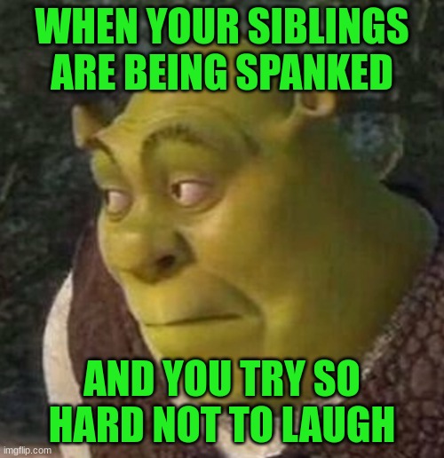 SMACK! | WHEN YOUR SIBLINGS ARE BEING SPANKED; AND YOU TRY SO HARD NOT TO LAUGH | image tagged in shrek | made w/ Imgflip meme maker