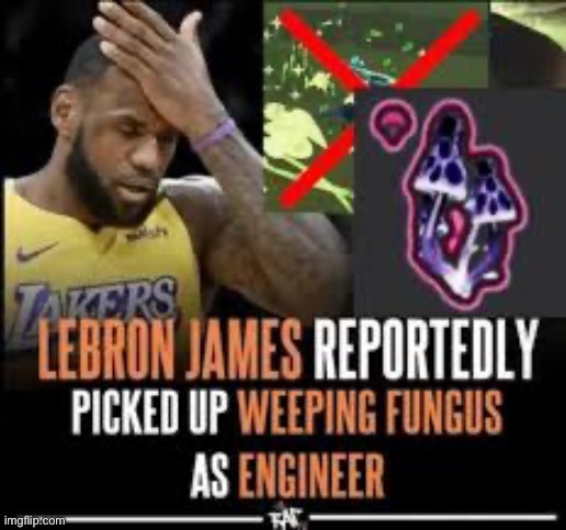 Bungus not wungus | made w/ Imgflip meme maker