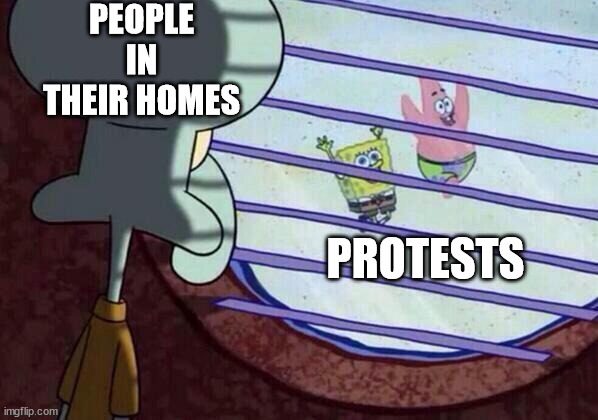 Some people in their homes don't participate in protests. | PEOPLE IN THEIR HOMES; PROTESTS | image tagged in squidward window,memes,protest | made w/ Imgflip meme maker