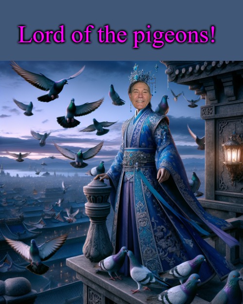 Lord of the pigeons! | made w/ Imgflip meme maker