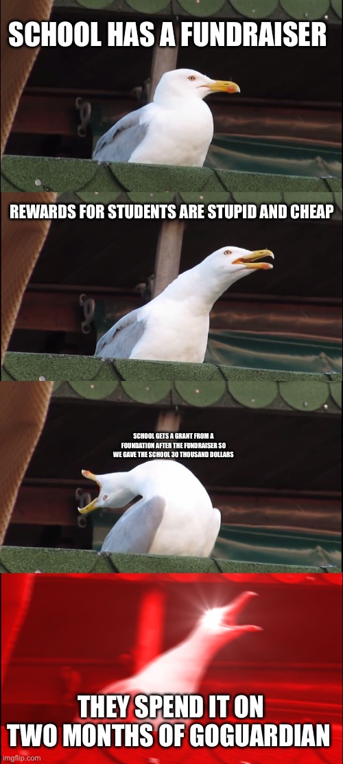 Inhaling Seagull Meme | SCHOOL HAS A FUNDRAISER; REWARDS FOR STUDENTS ARE STUPID AND CHEAP; SCHOOL GETS A GRANT FROM A FOUNDATION AFTER THE FUNDRAISER SO WE GAVE THE SCHOOL 30 THOUSAND DOLLARS; THEY SPEND IT ON TWO MONTHS OF GOGUARDIAN | image tagged in memes,inhaling seagull | made w/ Imgflip meme maker