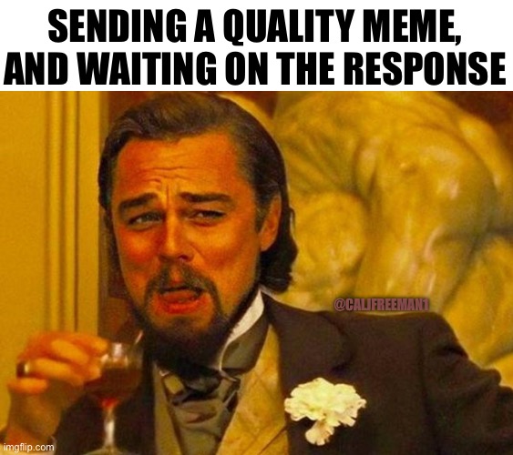 SENDING A QUALITY MEME, AND WAITING ON THE RESPONSE; @CALJFREEMAN1 | image tagged in leonardo dicaprio django laugh,django unchained,you will leonardo django,memes,funny memes,leonardo dicaprio | made w/ Imgflip meme maker