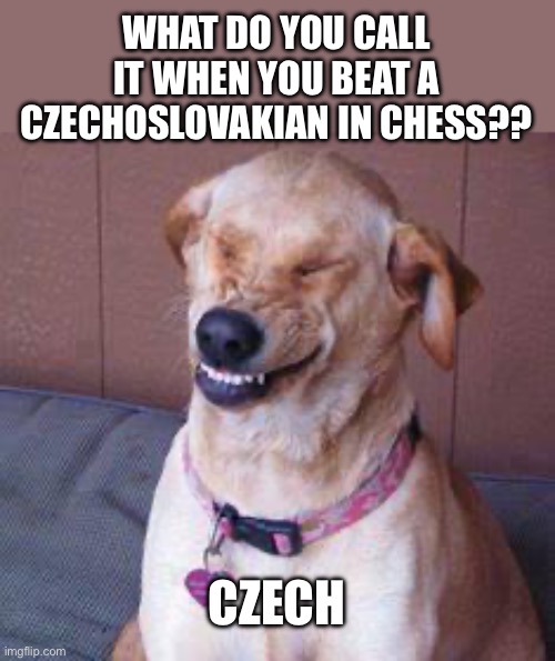 Heehehe | WHAT DO YOU CALL IT WHEN YOU BEAT A CZECHOSLOVAKIAN IN CHESS?? CZECH | image tagged in funny dog,you have been eternally cursed for reading the tags | made w/ Imgflip meme maker