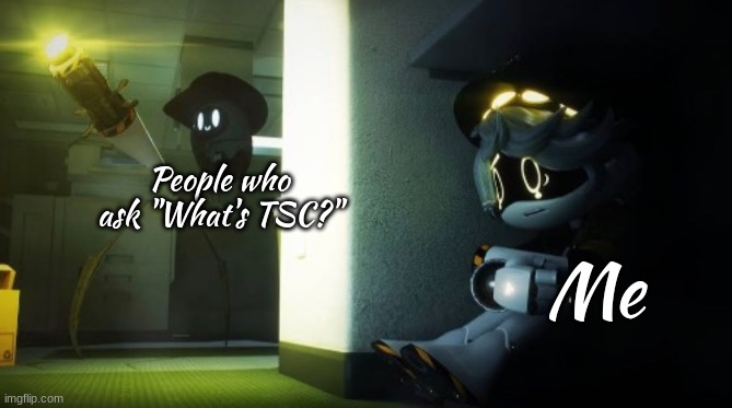 I must warn you. Never ask. | People who ask "What's TSC?"; Me | image tagged in n hiding from beau | made w/ Imgflip meme maker