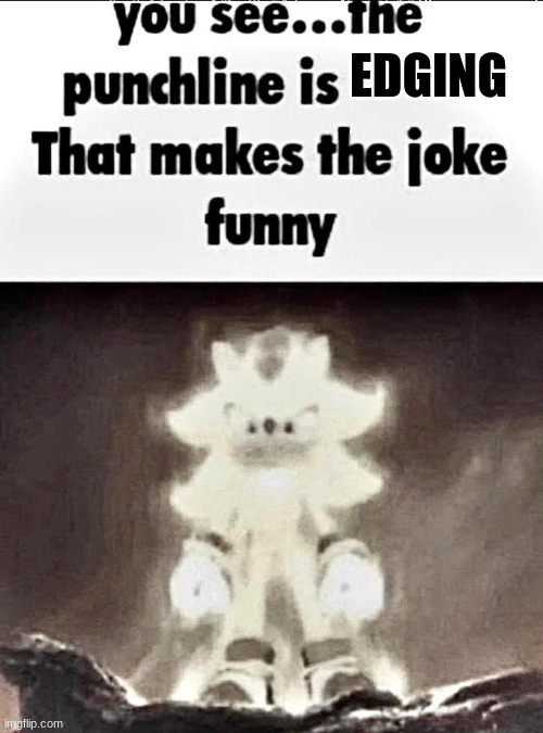 Shadow explains the joke | EDGING | image tagged in shadow explains the joke | made w/ Imgflip meme maker