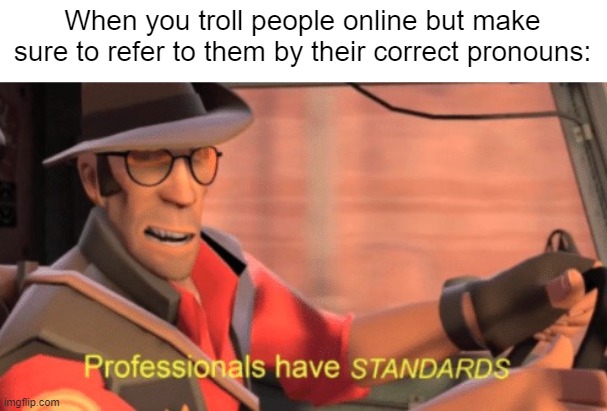 Professionals have standards | When you troll people online but make sure to refer to them by their correct pronouns: | image tagged in professionals have standards | made w/ Imgflip meme maker