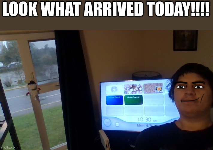 WIIIII LET'S GOOOOO | LOOK WHAT ARRIVED TODAY!!!! | image tagged in wii,fun,mario kart | made w/ Imgflip meme maker