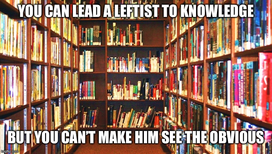 Library | YOU CAN LEAD A LEFTIST TO KNOWLEDGE; BUT YOU CAN’T MAKE HIM SEE THE OBVIOUS | image tagged in library | made w/ Imgflip meme maker