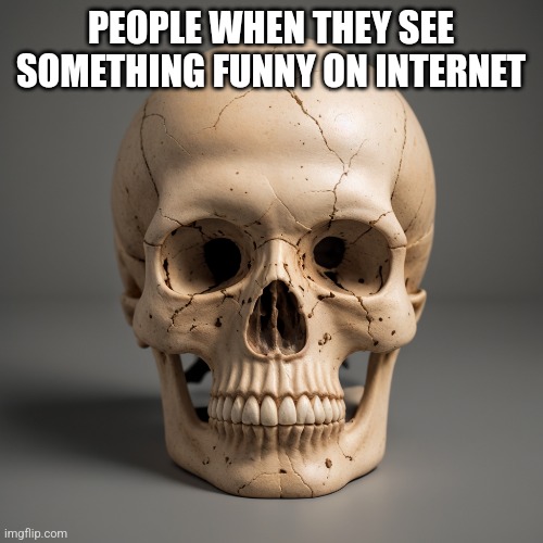 PEOPLE WHEN THEY SEE SOMETHING FUNNY ON INTERNET | made w/ Imgflip meme maker