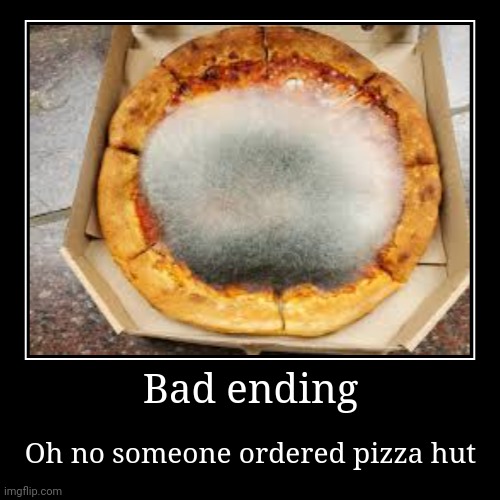 It isn't even a hut anymore | Bad ending | Oh no someone ordered pizza hut | image tagged in demotivationals,frickpizzahut | made w/ Imgflip demotivational maker