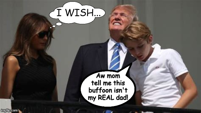 Not my dad! | I WISH... Aw mom tell me this buffoon isn't my REAL dad! | image tagged in trump eclipse,moon,maga moon moron,not my dad,looking up | made w/ Imgflip meme maker