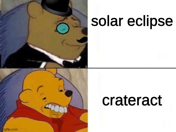 Fancy and Idiot Pooh | solar eclipse; crateract | image tagged in fancy and idiot pooh | made w/ Imgflip meme maker
