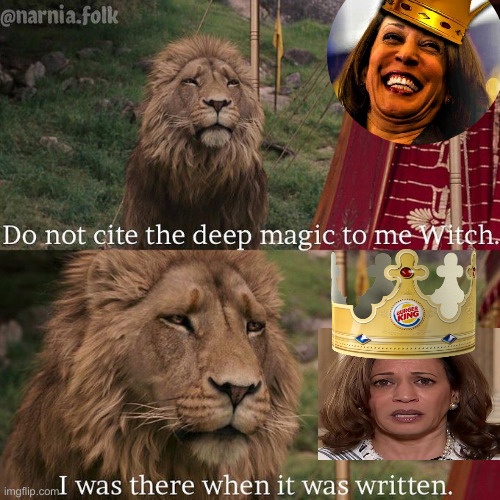 Do not cite the deep magic to me witch | image tagged in do not cite the deep magic to me witch,political meme,politics,funny memes,funny | made w/ Imgflip meme maker