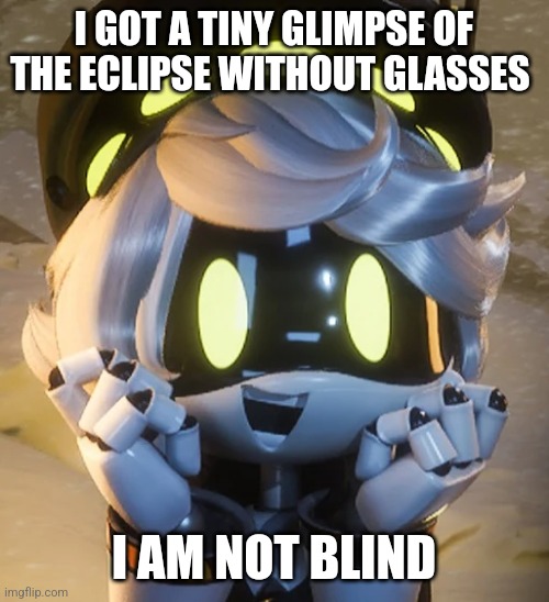 Where I live the eclipse will be almost full | I GOT A TINY GLIMPSE OF THE ECLIPSE WITHOUT GLASSES; I AM NOT BLIND | image tagged in happy n | made w/ Imgflip meme maker