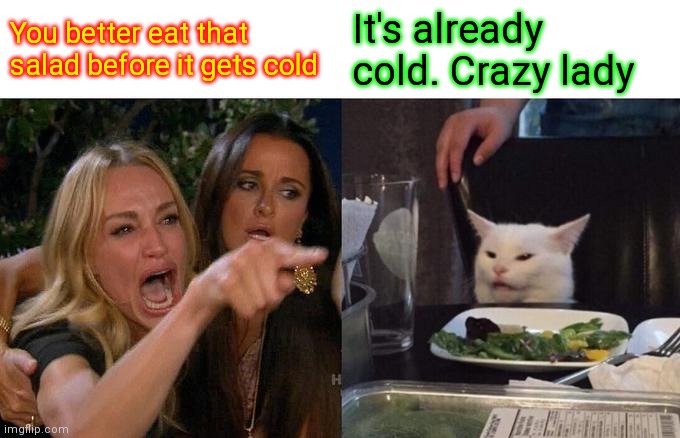Eat that salad | You better eat that salad before it gets cold; It's already cold. Crazy lady | image tagged in memes,woman yelling at cat,funny memes | made w/ Imgflip meme maker