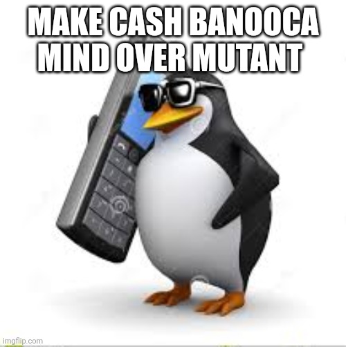 Penguin calling 911 | MAKE CASH BANOOCA MIND OVER MUTANT | image tagged in penguin calling 911 | made w/ Imgflip meme maker