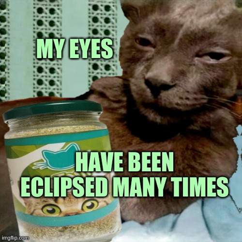 Shit Poster 4 Lyfe | MY EYES; HAVE BEEN ECLIPSED MANY TIMES | image tagged in shit poster 4 lyfe,shitpost,eclipse,my eyes,what if i told you,open your eyes | made w/ Imgflip meme maker