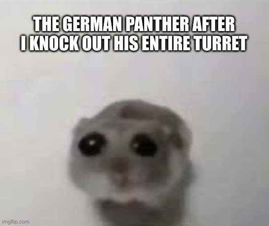 womp womp | THE GERMAN PANTHER AFTER I KNOCK OUT HIS ENTIRE TURRET | image tagged in sad mouse tiktok | made w/ Imgflip meme maker