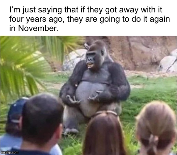 You know it. They know it. They know that we know it. They get away with it because they know we won’t do anything about it. | I’m just saying that if they got away with it 
four years ago, they are going to do it again 
in November. | image tagged in gorilla | made w/ Imgflip meme maker
