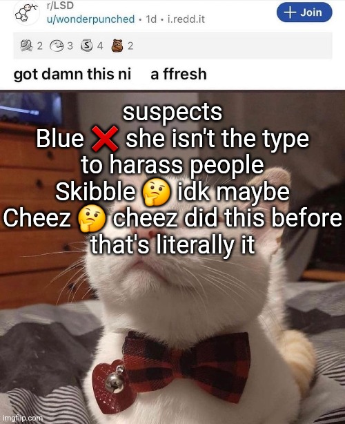 LSD cat | suspects
Blue ❌️ she isn't the type to harass people
Skibble 🤔 idk maybe
Cheez 🤔 cheez did this before
that's literally it | image tagged in lsd cat | made w/ Imgflip meme maker